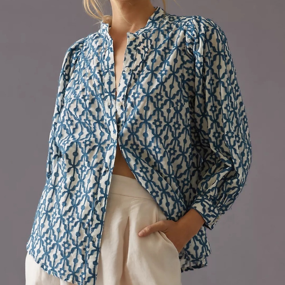 Anthropologie • Pilcro Embroidered Buttondown